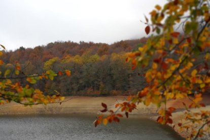 Les fulles cauen, arriba la boira i comença a fer fred.