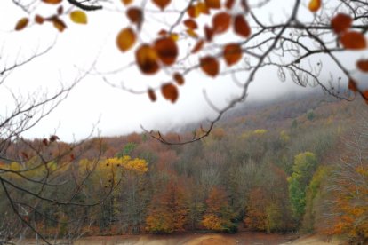 Les fulles cauen, arriba la boira i comença a fer fred.