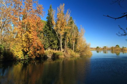 Les fulles cauen, arriba la boira i comença a fer fred.