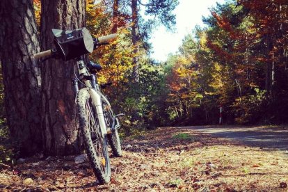 Les fulles cauen, arriba la boira i comença a fer fred.