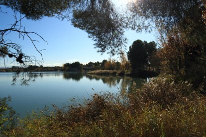 Les fulles cauen, arriba la boira i comença a fer fred.