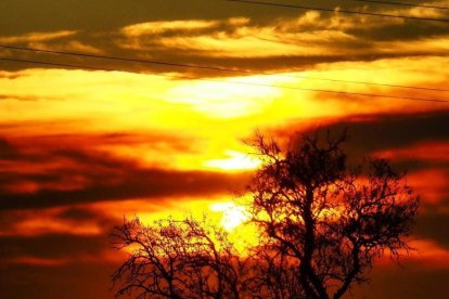 Les fulles cauen, arriba la boira i comença a fer fred.