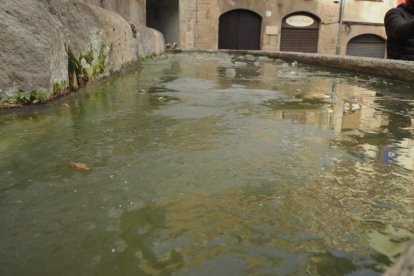 Les fulles cauen, arriba la boira i comença a fer fred.