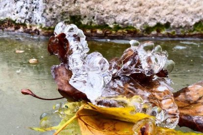 Les fulles cauen, arriba la boira i comença a fer fred.