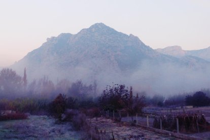 Les fulles cauen, arriba la boira i comença a fer fred.