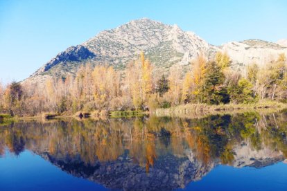 Les fulles cauen, arriba la boira i comença a fer fred.