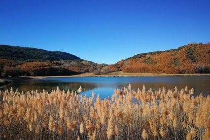 Les fulles cauen, arriba la boira i comença a fer fred.