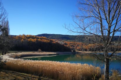 Les fulles cauen, arriba la boira i comença a fer fred.