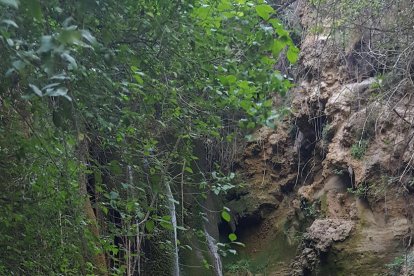 Felicita els teus familiars i amics pel seu aniversari, sant, casament enviant fotos a cercle@segre.com