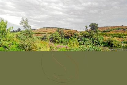 El teu temps, l'estiu.