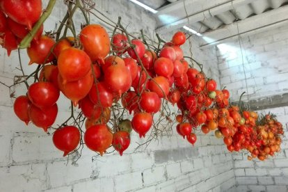 El teu temps, l'estiu.