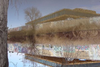 Manel Fregola Navarro