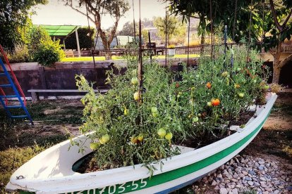 M.Angels Esteban Caelles