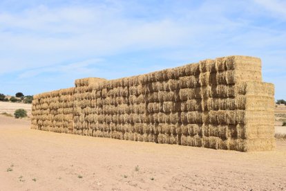 La calor, les tempestes, el paisatge groc i sec.