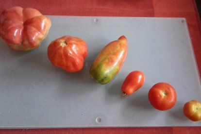 La calor, les tempestes, el paisatge groc i sec.