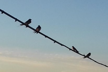 La calor, les tempestes, el paisatge groc i sec.