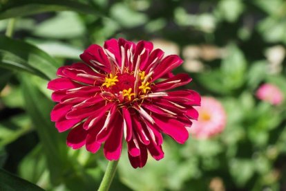 La calor, les tempestes, el paisatge groc i sec.