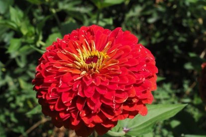 La calor, les tempestes, el paisatge groc i sec.