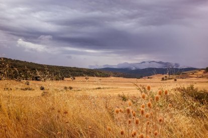 La calor, les tempestes, el paisatge groc i sec.