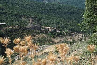 La calor, les tempestes, el paisatge groc i sec.