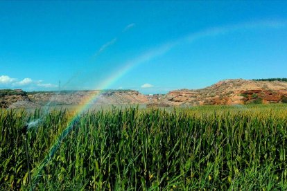La calor, les tempestes, el paisatge groc i sec.