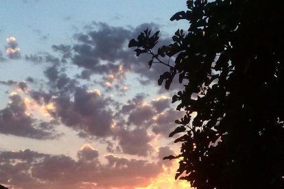 La calor, les tempestes, el paisatge groc i sec.