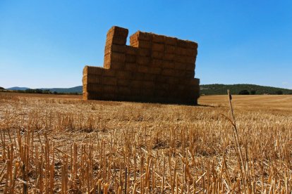 La calor, les tempestes, el paisatge groc i sec.
