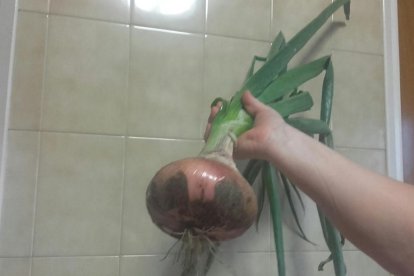 La calor, les tempestes, el paisatge groc i sec.