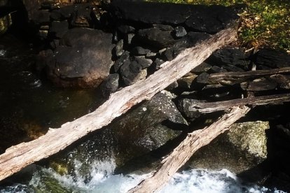 La calor, les tempestes, el paisatge groc i sec.