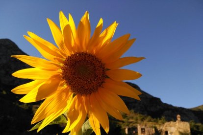 La calor, les tempestes, el paisatge groc i sec.