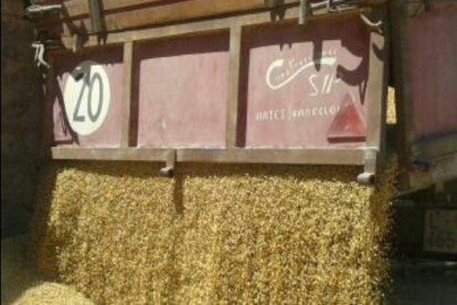 La calor, les tempestes, el paisatge groc i sec.