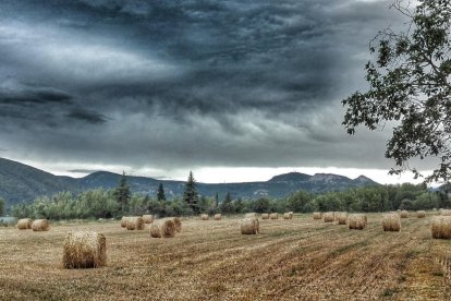 La calor, les tempestes, el paisatge groc i sec.