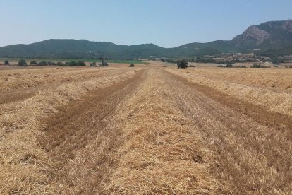 La calor, les tempestes, el paisatge groc i sec.