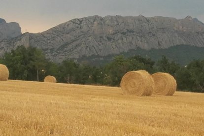 La calor, les tempestes, el paisatge groc i sec.