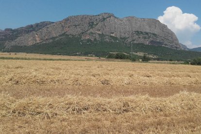 La calor, les tempestes, el paisatge groc i sec.