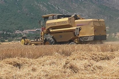 La calor, les tempestes, el paisatge groc i sec.
