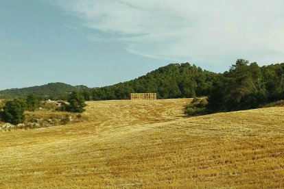 La calor, les tempestes, el paisatge groc i sec.