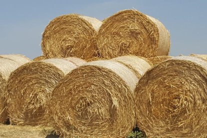 La calor, les tempestes, el paisatge groc i sec.