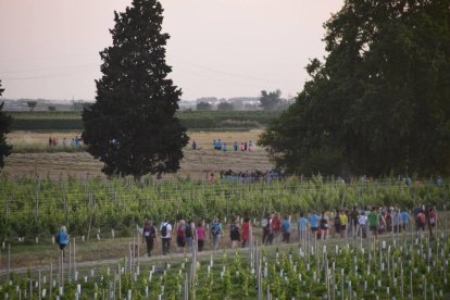 La calor, les tempestes, el paisatge groc i sec.