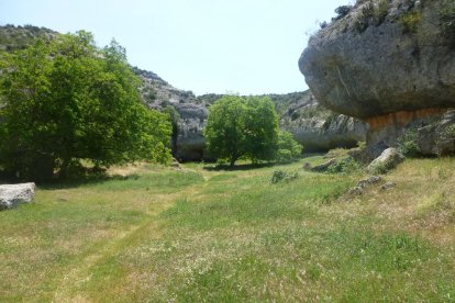 La calor, les tempestes, el paisatge groc i sec.
