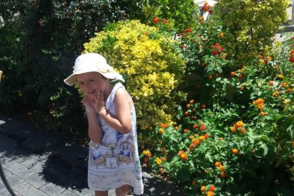 Informal, de festa, a ratlles o monocolor.