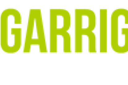 Logotips de les webs comarcals del grup SEGRE