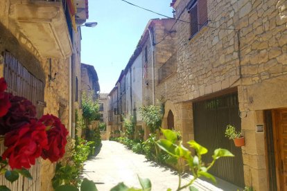 Imatges de les Garrigues