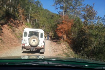 Part del ramat diumenge passat en una finca privada.