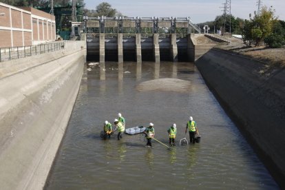 Imatge del moment del rescat ahir del vehicle al canal de Seròs al seu pas per Montoliu.