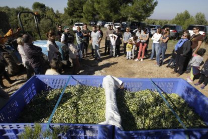 Els més petits es divertien pentinant les branques de les oliveres. A la dreta, la família d’Esteve i Nora, de Barcelona, i a sota, assistents escoltant Benanci.