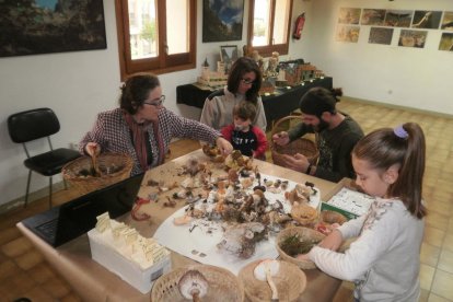 Un dels estands dedicats exclusivament a la venda de bolets a la Fira del Bolet de Solsona.
