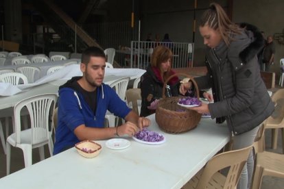 Demostració de com s’extreu el safrà de les flors.
