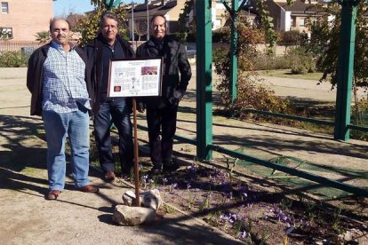 Diversos empleats d’El Tossal de les Garrigues cullen les flors de safrà, de les quals posteriorment s’extrauran els pistils.