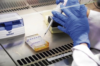 Els cinc socis que han creat l’empresa Moirai Biodesign: Núria Conde, Ivan Dotu, Salvador Duran, Amadís Pagès i Daniel Poglayen.